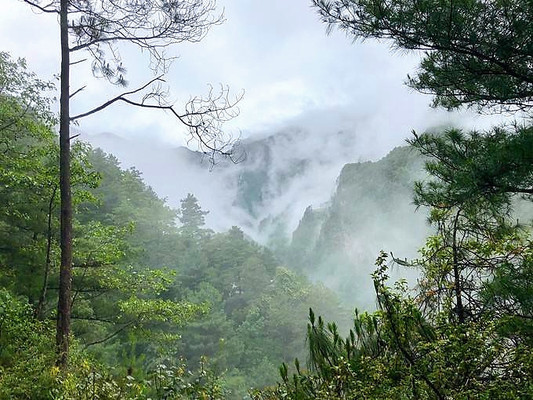 踱步云端,不用去苍山深处,来这里就够了!