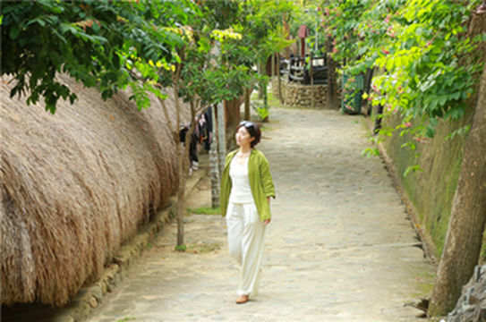 清凉一夏的槟榔谷,满眼都是绿色的