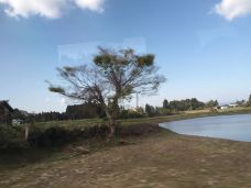 神山-箱根-cparissh