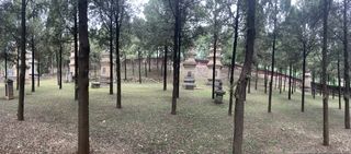 探觅中州山水，抒怀汉唐风月（续三：嵩山/少林寺）   ——2020年五一长假河南行