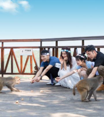 云阳游记图文-自然险峰+“云端飞悦”高空挑战项目 | 520相约重庆云阳龙缸