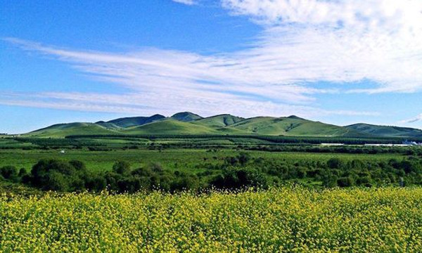 美丽的围场塞罕坝里根宾馆，不仅能消热避暑，惊艳的是美食的诱惑