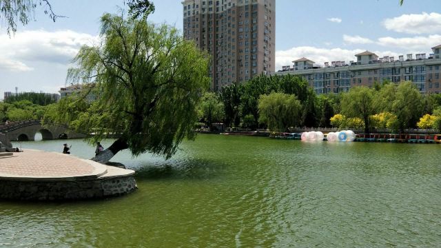 宣化人民公园旅行图片 2