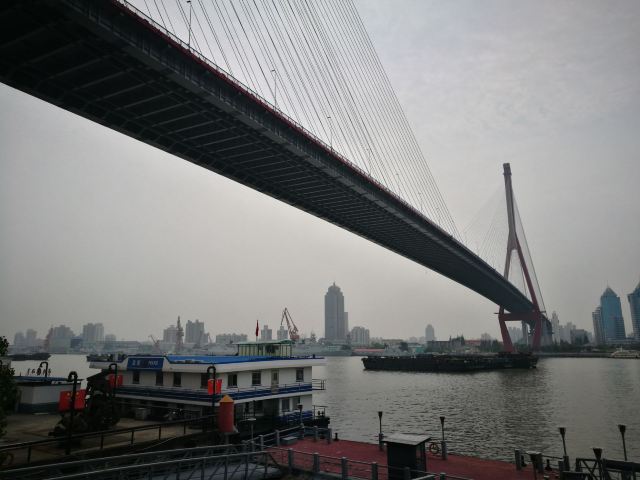 大桥公园旅行图片 4
