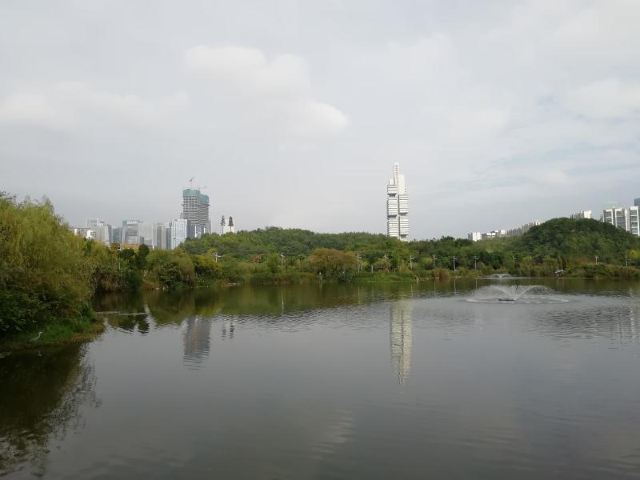 小湾河湿地公园旅行图片 5