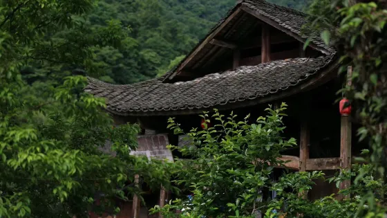 小溪