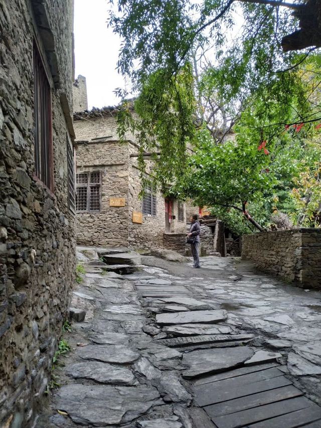 北川公园旅行图片 2