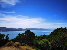 维多利亚山-惠灵顿-YoYo_5Z6N4L7T