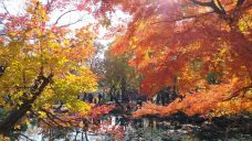 林州天平山风景区-林州-貓貓達