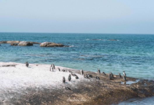 Foxy Beach景点图片
