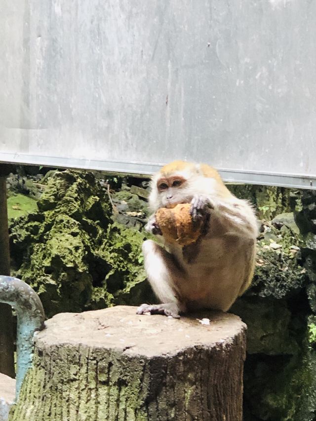Batu Caves
