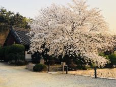 觉愿寺-天安市-秋风288