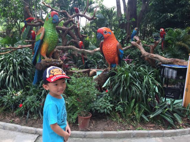 Chimelong Bird Park