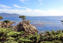 恩西尼塔斯旅游图片-蒙特雷县+圣地亚哥+旧金山六日游