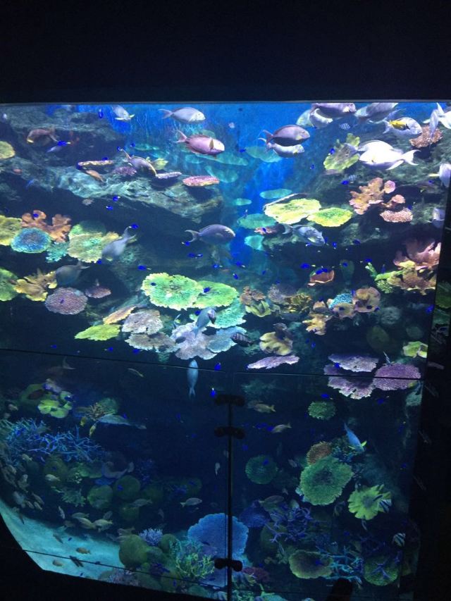 Sea Life Bangkok Ocean World
