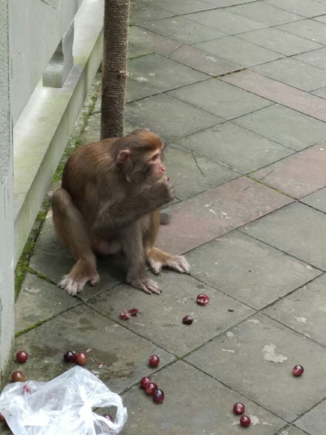 芙蓉洞