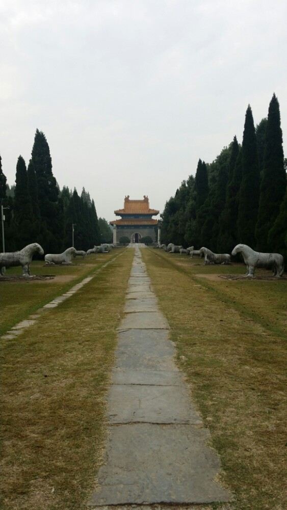 明顯陵