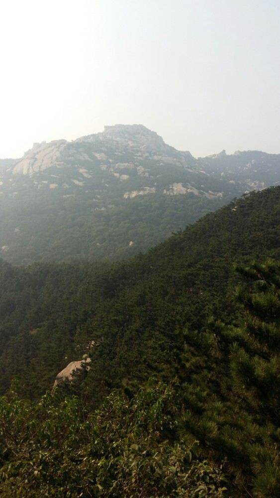 노산