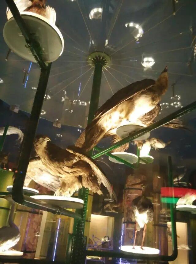 Shanghai Science and Technology Museum