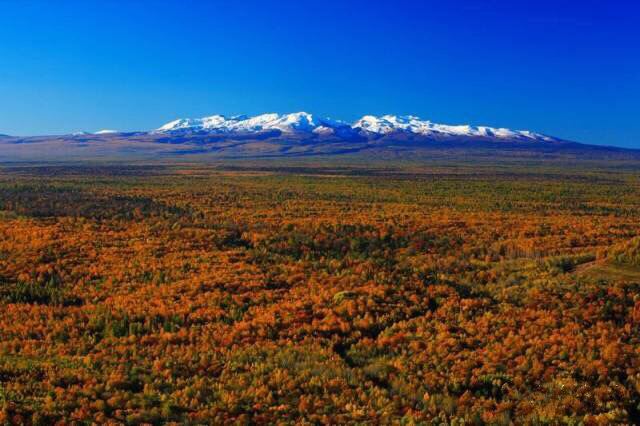 West Slope of Changbai Mountain Scenic Area