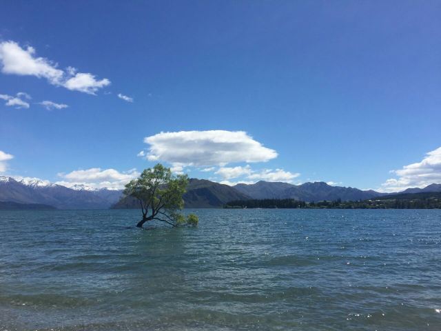 Lake Wanaka