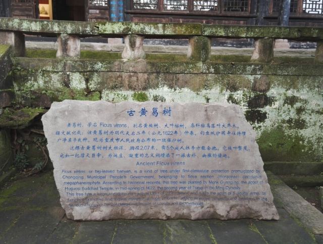 Diaoyu Castle
