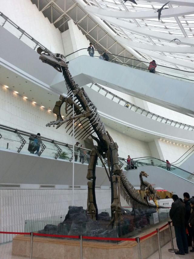 Tianjin Natural History Museum