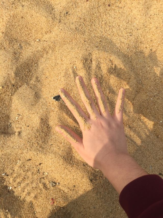 홀리데이 해변