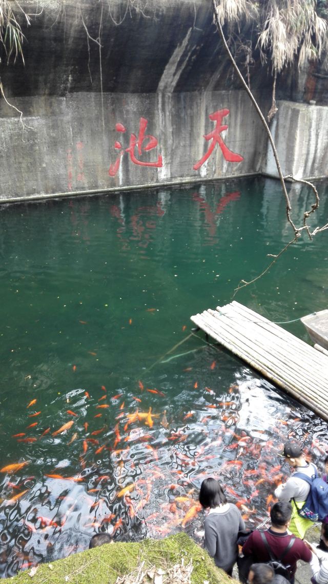 千島湖東南湖區景區