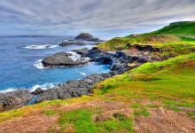 菲利普岛自然公园景点图片