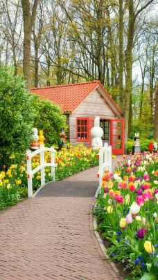 库肯霍夫公园-利瑟-周游列国