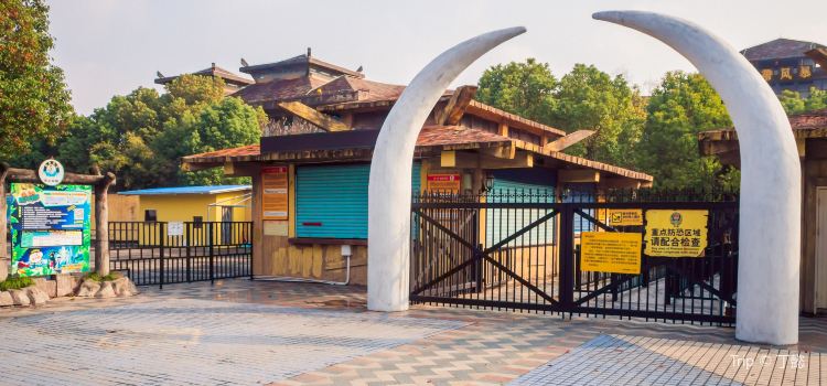 Tropical Storm Water Park Tickets Deals Reviews Family - 