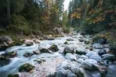 魔法森林-拉姆绍-doris圈圈