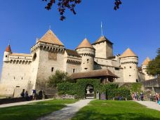 西庸城堡-韦托-雨田