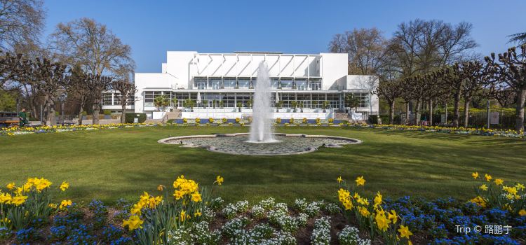Palmengarten Travel Guidebook Must Visit Attractions In Frankfurt