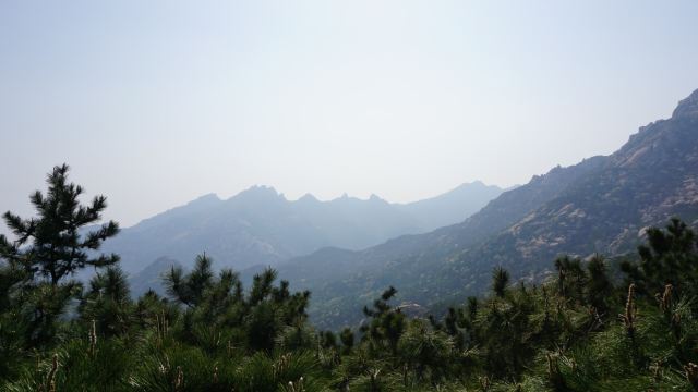 노산