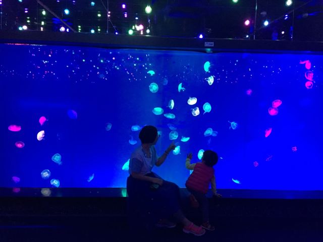 Grandview Aquarium