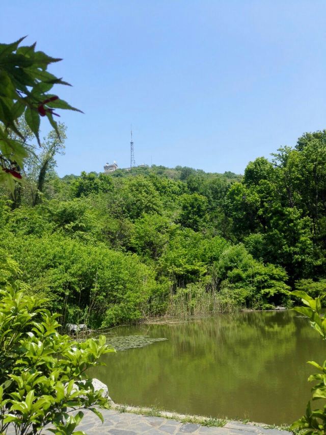 Qixia Mountain