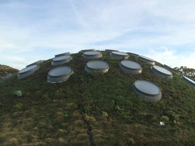 California Academy of Sciences
