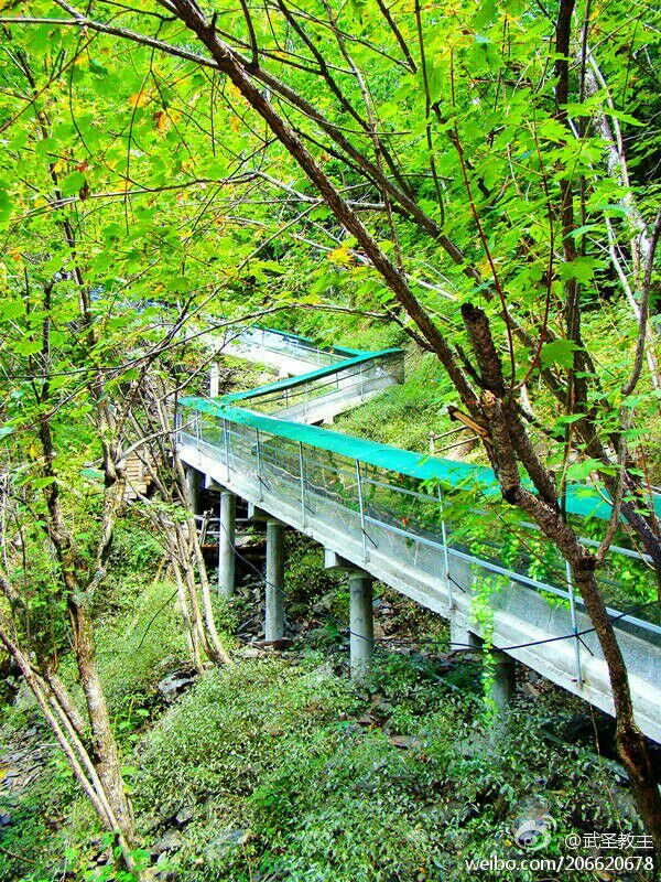 龙江第一滑道 —— 凤凰山高山峡谷滑道