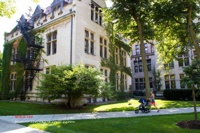 The University of Chicago