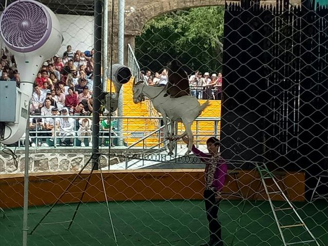 Shanghai Wild Animal Park