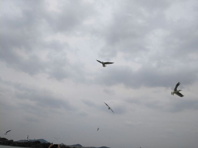 원두저(위안터우주)