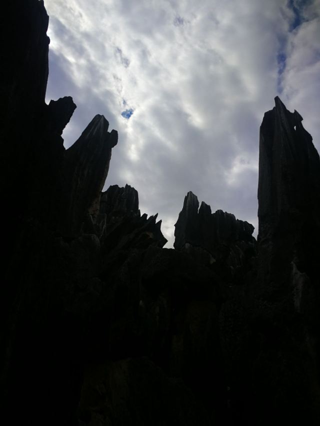 Stone Forest