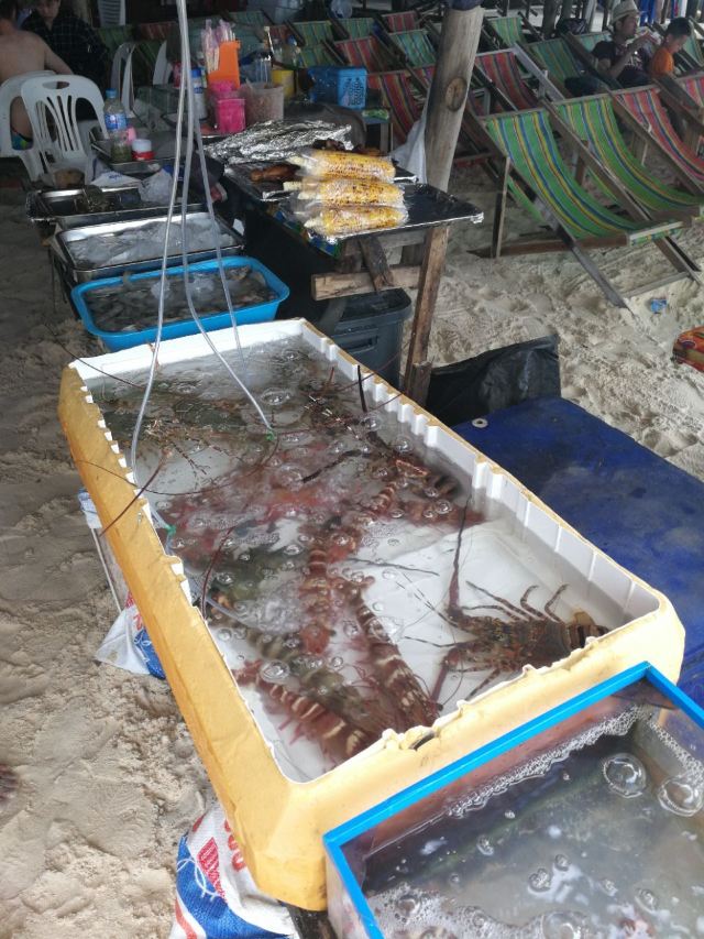 코카이녹