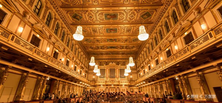 Musikverein Golden Hall Seating Chart