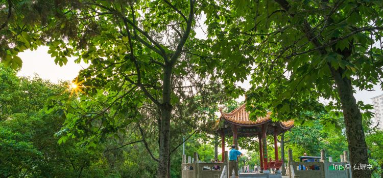 Zijing Mountain Park Tickets Deals Reviews Family - 