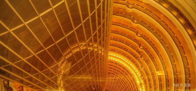 Jinmao Tower Observation Deck Tickets Deals Reviews - 