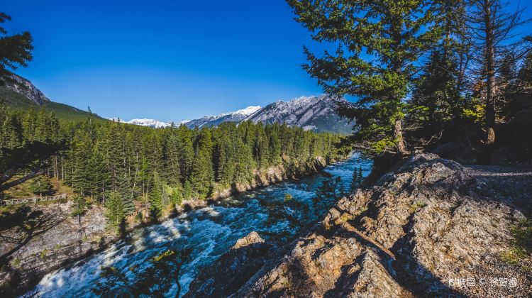 4-Day Canada Winter Tour·Vancouver, Johnston Canyon, Kalamalka Lake, Yoho & Banff