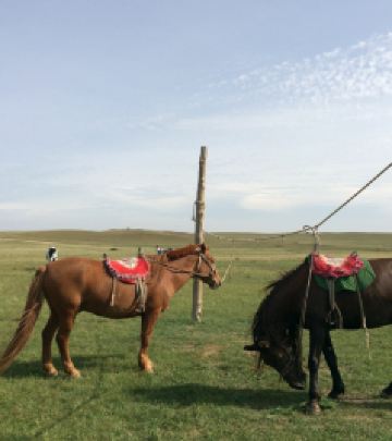武川游记图文-凑热闹的内蒙草原&沙漠之旅 - DAY2